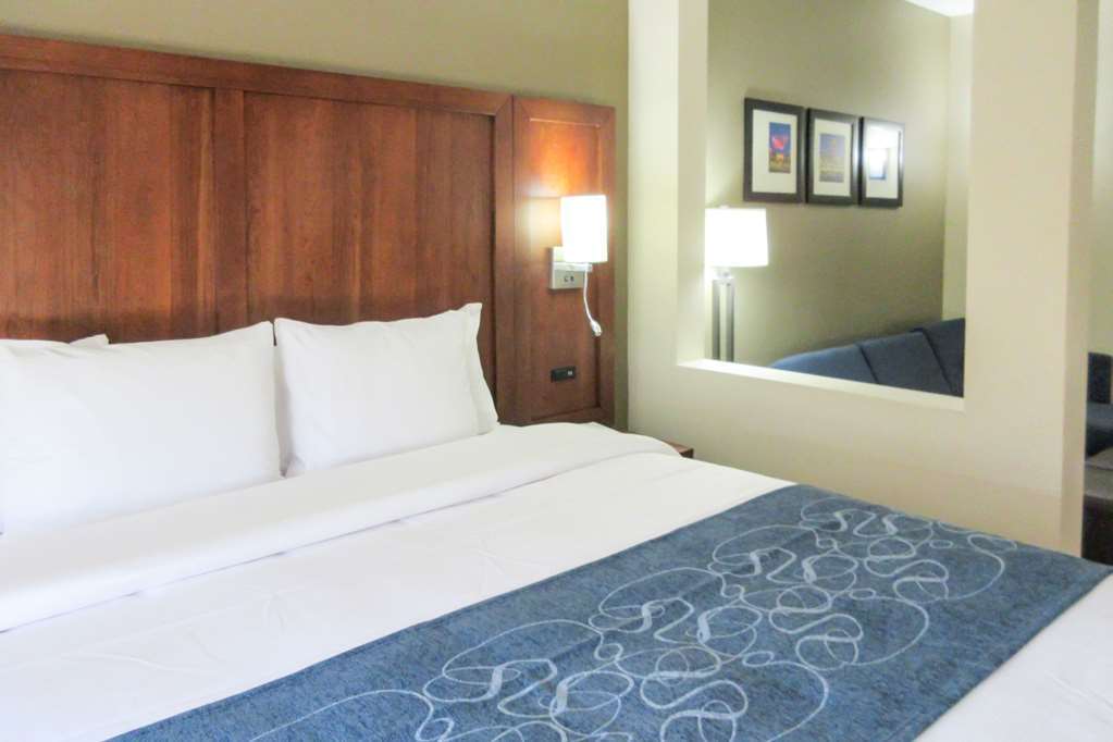 Comfort Suites Greensboro-High Point Zimmer foto